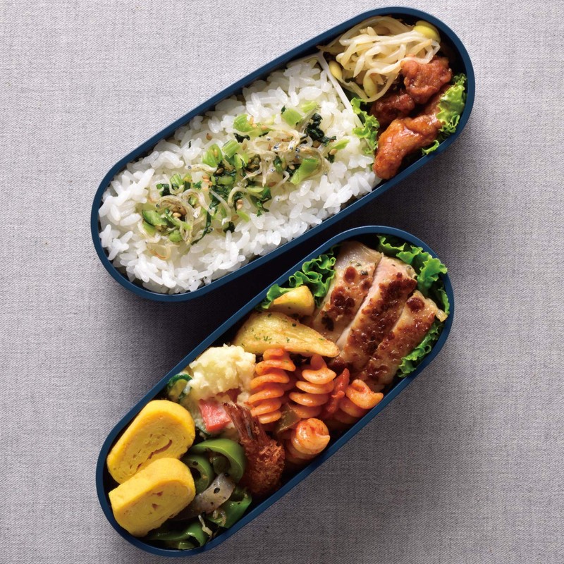 Thermos DJT-600W NVY Lunch Box, 2-Tier Fresh Lunch Box, 20.1