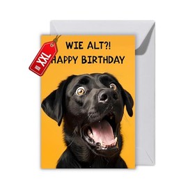 Funny Dog Birthday Card - Funny Folding Card DIN A6 "How Old?! Happy Birthday" - Humorous Greeting Card with Envelope for Men, Women, Friends & Colleagues (XXL DIN A4)