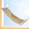 FlidRunest 21.6 x 7.8 in Seagrass Bearded Dragon Hammock for
