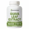Immortal Herbs Guava Leaf Extract 1000mg 10:1 Extra Strength 150 Tablets Non-GMO and Gluten Free Guava Extract Capsules for Women and Men, 1 Count, 150 Tablets / Immortal Herbs 구아바 잎 추출물 1000mg 10:1 엑스트라 스트렝스 150알 비-GMO 및 글루텐 프리 구아바 추출 캡슐 여성 및 남성용, 1개, 150정