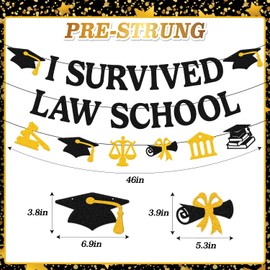 I Survived Law School Banner Lawyer Graduation Party Decorations Law School College Student Future Lawyer Congrats Grad Class of 2025 Party Supplies