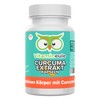 Curcuma Extrakt Kapseln - hochdosiert 350 mg Curcumin - 30:1