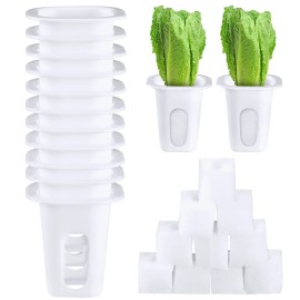 Hoolerry 100 Pcs Hydroponics Growing System Kit Include 50 Hydroponic Grow Baskets Pods