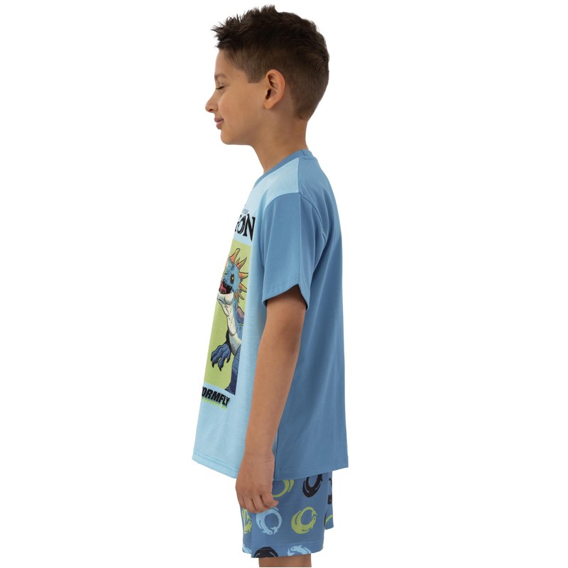 How To Train Your Dragon Boys Pajamas, Toothless Boys Pjs,