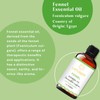 LOTUSJOY Fennel Essential Oil, 100% Pure Natural for Diffuser Skin