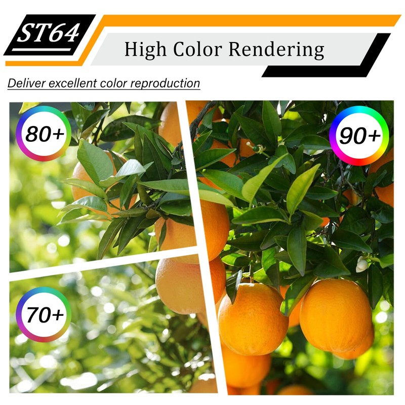 CREATE BRIGHT Vintage ST64 16W Dimmable Led Edison Bulbs 2700K