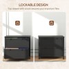 2 Drawer Black File Cabinet Adjustable Hanging Bar for Letter