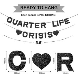 Holkcog 25th Birthday Decoration for Women, Quarter Life Crisis Black Happy Birthday Banner Black 25 Balloons Numbers Give Her Cheering 25th Birthday Gift Black 25th Birthday Party Supplies