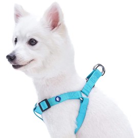 Blueberry Pet Essentials Matching Large Dog Harness | Adjustable Classic Solid Nylon No Pull Harness for Dogs | Easy Walk Dog Harness for Large Dogs & Step in Dog Harness | Turquoise Dog Harness