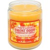 Smoke Odor Exterminator 13oz Jar Candles (Fall N Leaves, 1)