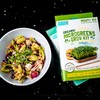 Back to the Roots DIY Microgreen Grow Kit, 6-Grow Variety