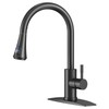 FORIOUS Black LED Kitchen Faucet with Pull Down Sprayer, High