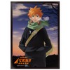 Takara Tomy Haikyu!! Baboca!! Break DX Card Sleeve Vol.1 "Hinata