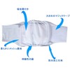 Teamoy Dog Manners Belt, Set of 4, Boy, Mesh Lining,