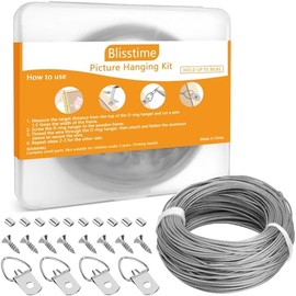 Blisstime Picture Hanging Kit - 100 Feet Braided Hanging Wire, 60 Pcs D Ring Picture Hangers with Screws and 60 Pcs Aluminum Crimping Loop Sleeve for Canvas Paintings, Photo Frames