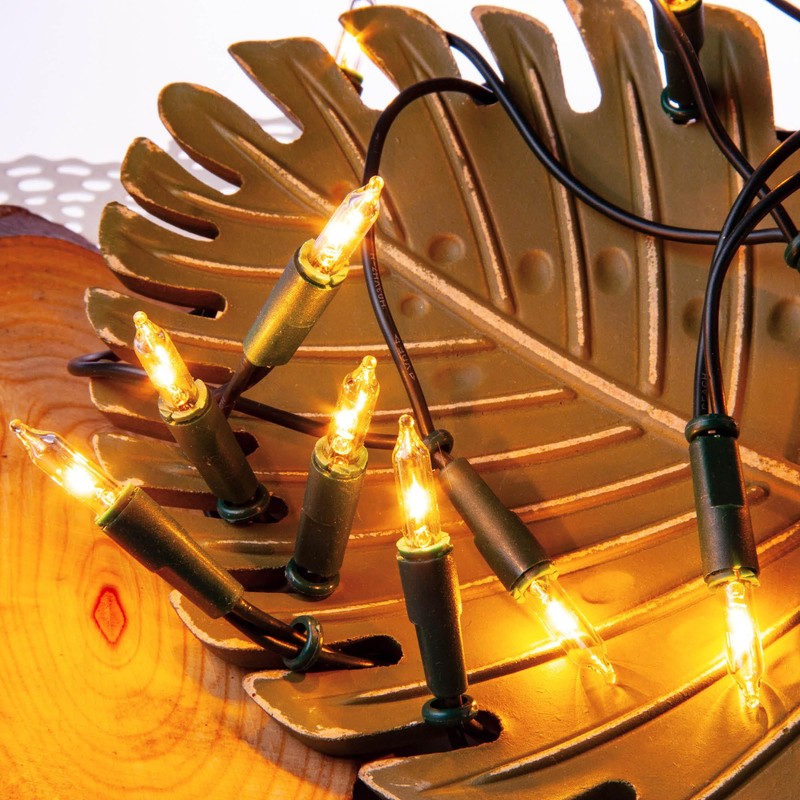 hellum 835014 50-Bulb Mini Fairy Lights, Indoor Power-Operated Transparent Warm