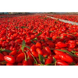 Dried Goji Berries, Gluten-Free, Non-GMO, Vegan, Dried Fruits, Wolfberries, Sulphite-Free, Superfood, Healthy Snacks, Ideal for Baking (Large fruit 17.6oz)