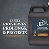 Lexol Deep Leather Conditioner, Use on Car Leather Upholstery, Shoes,