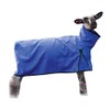 Weaver Leather Livestock Sheep Blanket, Solid Butt, Extra-Large, Blue