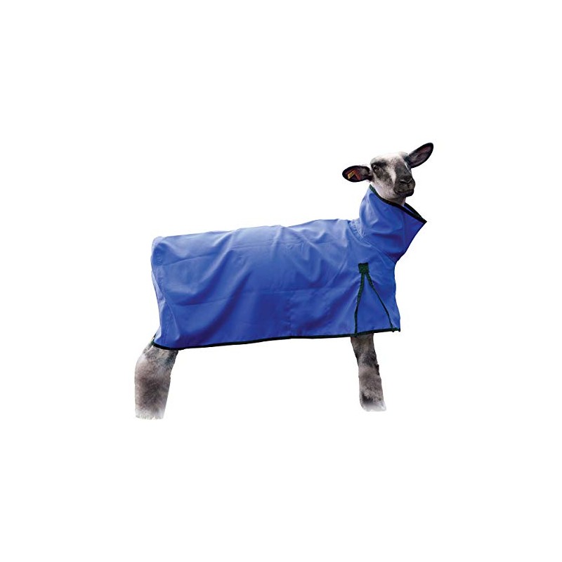 Weaver Leather Livestock Sheep Blanket, Solid Butt, Extra-Large, Blue