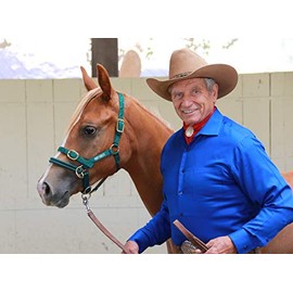 Monty Roberts Dually Headcollar (Extra Small - Green)
