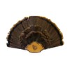 Turkey Fan Plaque-Engraved Hardwood