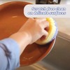 Scrub Daddy Scrub Mommy Dual-Sided Scrubber and Sponge, Variety Pack