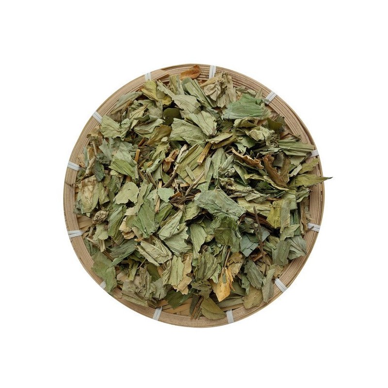 헬로우그린 국내산 삼백초 100gX2(팩) 총 200g Hello Green Domestic Sambaekcho