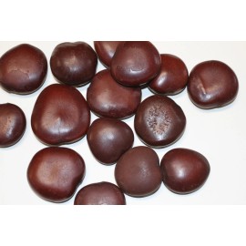 Stoneledge Investments LUCKY BEANS, Natural Sea Beans For Beach Decor Crafts, SS-18 - 50 sea beans