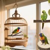 8PCS Bird Perch Natural Wooden Parrot Parakeet Toy Stand Branches