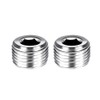 Joywayus 2Pcs Stainless Steel Internal Hex Countersunk Thread Socket Pipe