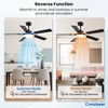 Conciseer 52 Inch Ceiling Fans with Lights and Remote for