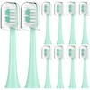 Compatible with AquaSonic Icon Electric Toothbrush Replacement Toothbrush Heads,for AquaSonic