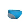 ARENA Men's Santamarias R Swim Briefs (Pack of 1)