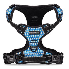 Lucky Love Dog No Pull Dog Harness, Adjustable and Easy to Walk, Cute Patterned Harness for Small Medium Large Male & Female Dogs - Murphy, Medium
