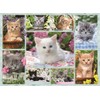 Ravensburger - Gatos y Mas Gatos Rompecabezas de 500 Piezas,