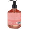 Crabtree & Evelyn Rosewater and Pink Peppercorn Hydrating Hand Wash,