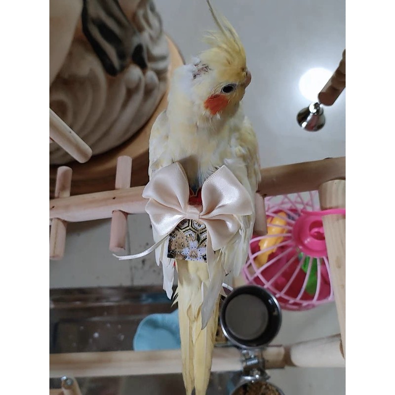Bird Flight Suits Diapers, Parrot Flight Suits Diapers for Monk