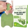 Pain Relief Patch - 20Pcs Knee Pain Relief Patches Relieve Knee Pain in Minutes, Knee Patches for Pain Relief for Arthritis,Relieves Muscle Soreness in Knee, Neck, Shoulder