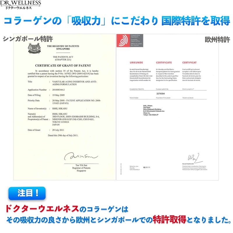 Dr. Wellness Natural Marine Collagen, 60 Packets (Granules), 30 Day