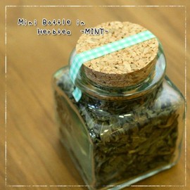 Cute Mini Bottled Herbal Tea (Peppermint)