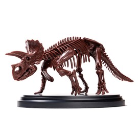 Gakken Q750808 Triceratops 1/35 Skeleton Model Kit & Real Size Extra Large Poster (Age:6+)