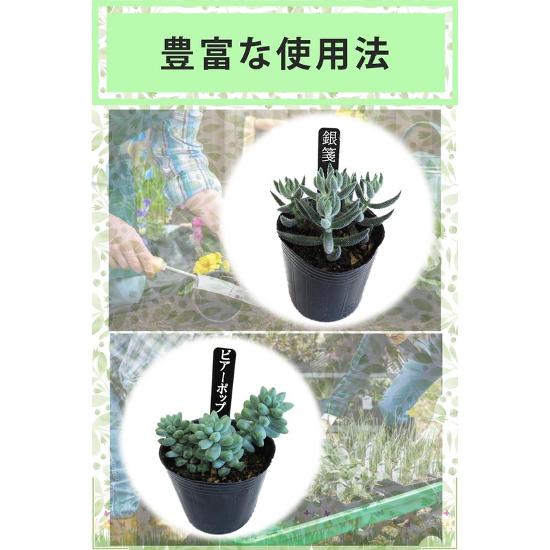reiri Gardening Labels, Vertical Labels, Set of 100 (Black, Standing)