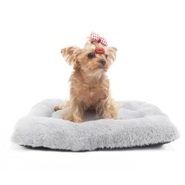 Small Dog Crate Beds 22 inch Deluxe Plush Dog Kennel Mat Fulffy Comfy Anti-Slip Pet Sleeping Mat for Tiny Dogs Breeds 22 x 13