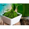 Alga Espirulina En Polvo 250 Grs Marca Florece