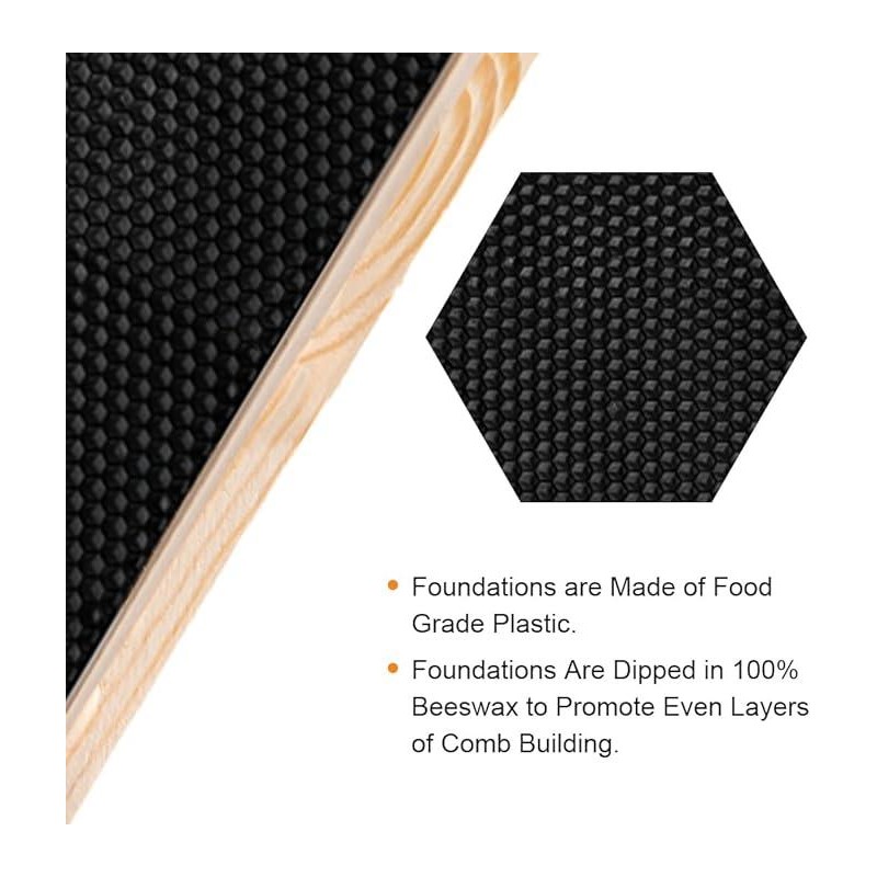 Maybee Hives 100% Beeswax Langstroth Beehive Box With Pine Wooden