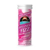 Source Naturals Wellness Fizz, Natural Berry Flavor - 10 Wafers