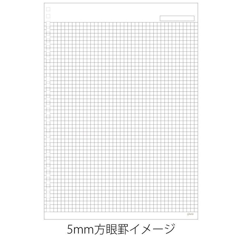 Maruman HL207B Loose Leaf B5 Jiuris Square 5mm 50 Sheets