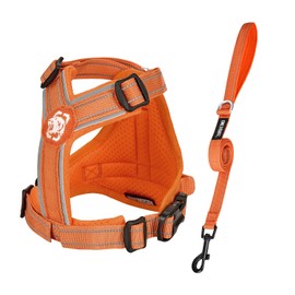 OneTigris Dog Harness and Leash Set, No Pull Soft Mesh Pet Harness, Reflective Adjustable Puppy ANTZ Vest for Small Medium Large Dogs, Cats (Orange, XS)