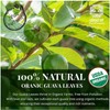 Akshit Organic Guava Leaves, Dried From Fresh Guava Leaves, Caffeine